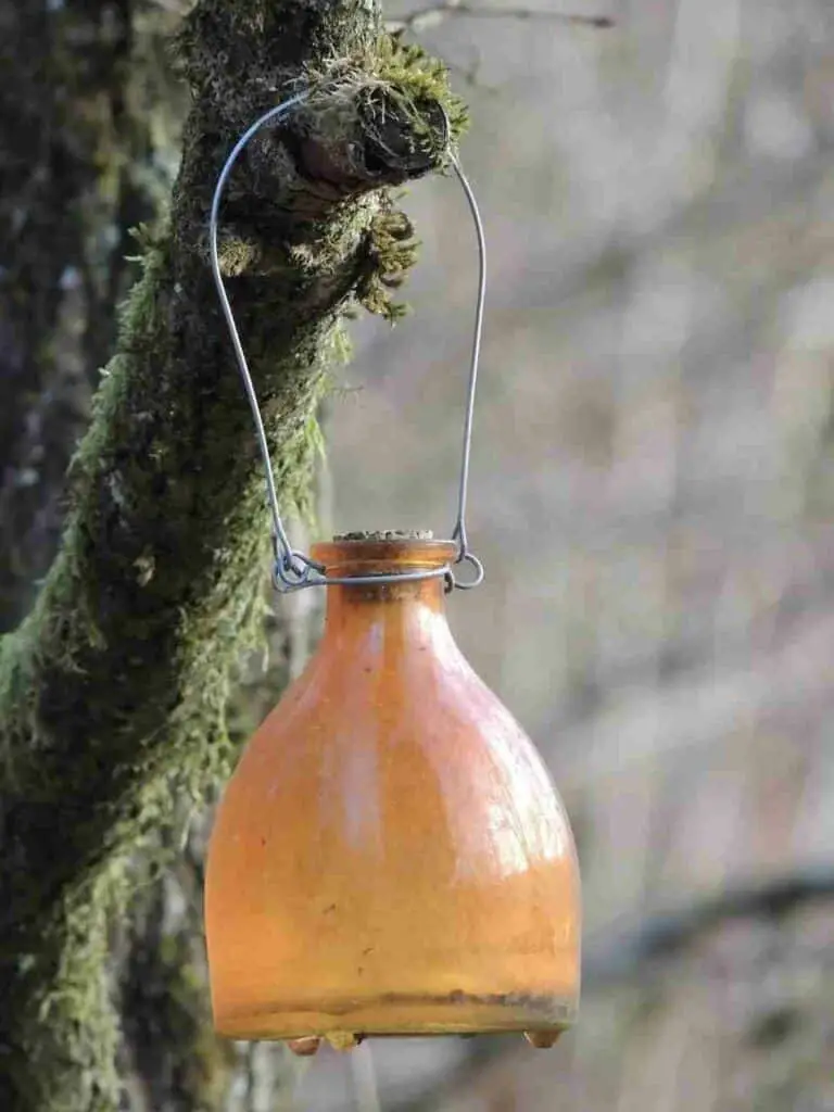 wasp-trap-to-keep-them-away-from-hummingbird-feeders